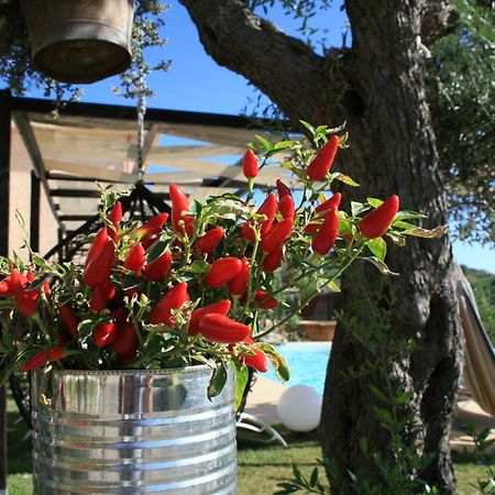 Il Podere Dell'Angelo Old Country House Белведере Маритимо Екстериор снимка